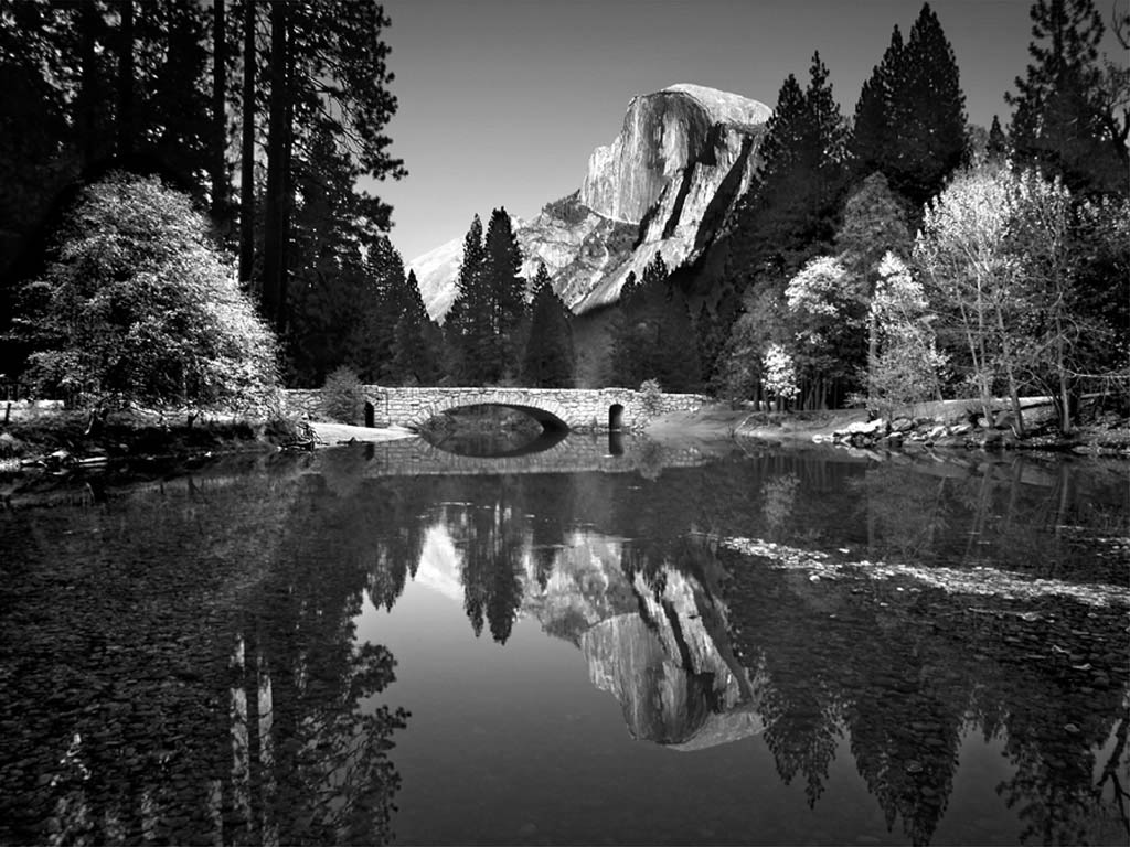 Park Yosemite.jpg